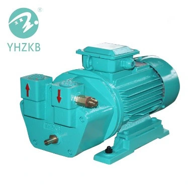 4kw Liquid/Water Ring Vacuum Pump for Vacuum Drying