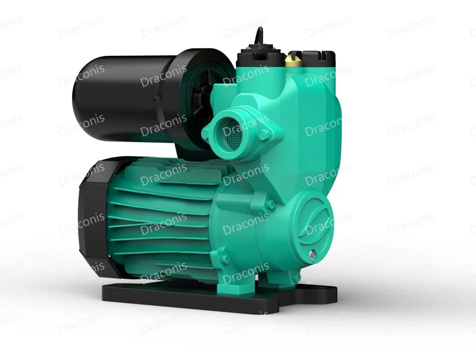 PW Series Pump Detail 2