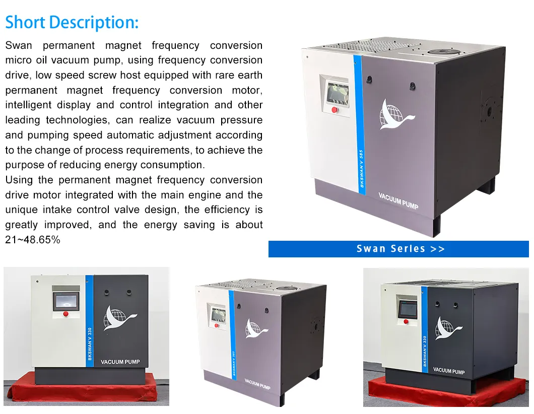 Industrial Vacuum Pump Structure