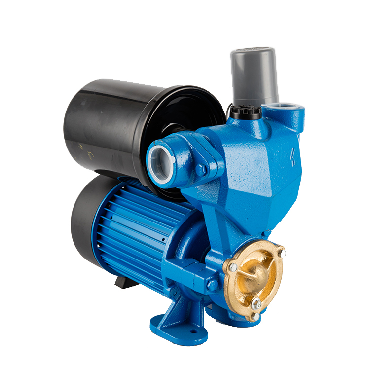 RAM Price Automatic Pumps Electric Self Priming Peripheral Garden Water Pump