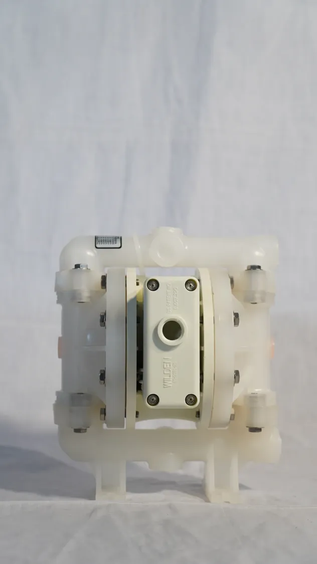 Heavy-Duty Pneumatic Membrane Pump View 1