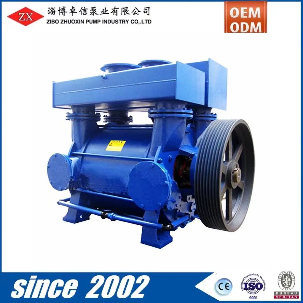 2BV 2be Sk 2sk Sz in China Electric Stainless Steel Single Two Double Multi Stage Liquid Water Ring Vacuum Pump Insystem Chemical Papermaking Machine Extruder