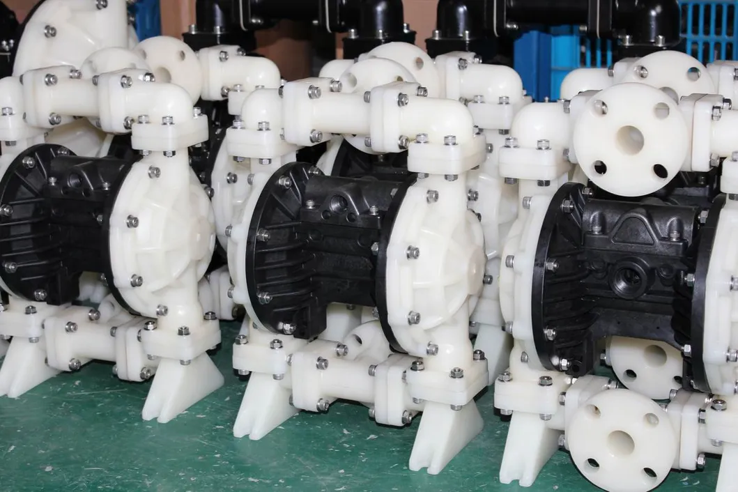Plastic Diaphragm Pump Detail