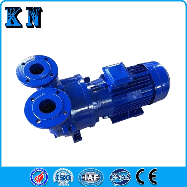2BV Water Ring Vacuum Pump Industrial Corrosion-Resistant Small Vacuum Pump