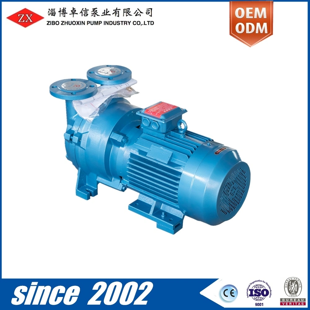 2BV-5161 Single/Two/Double Stage Liquid-Water-Ring Vacuum Pump in China (System)