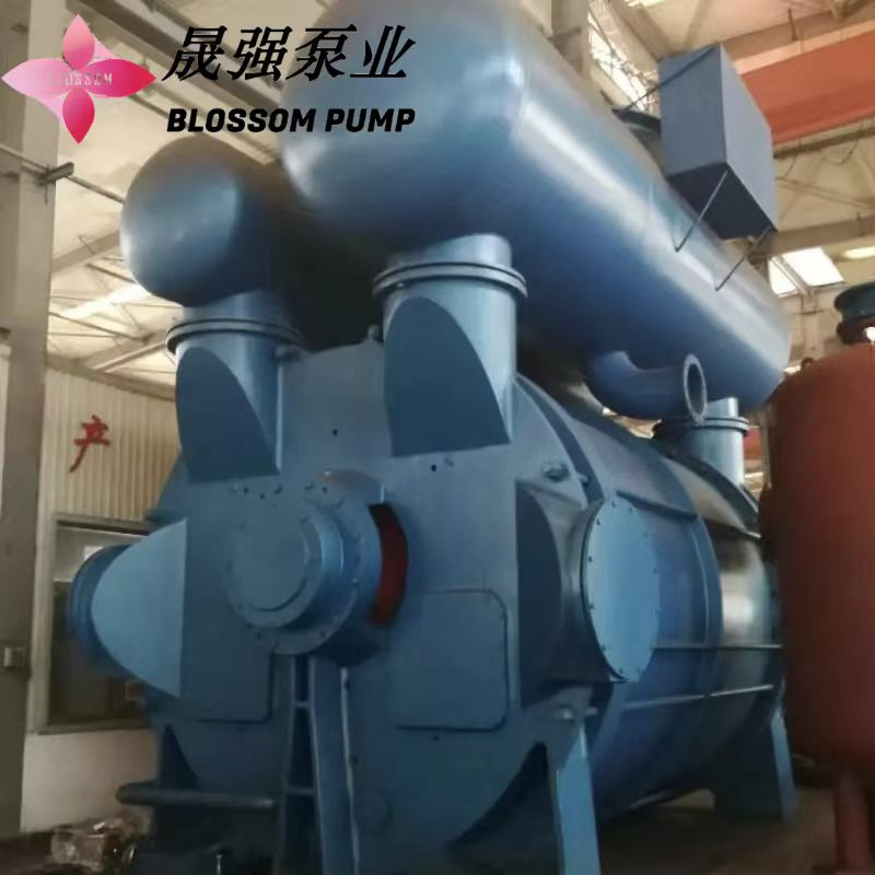 2be Series Water Ring Vacuum Pump Vacuum Degree High Power Consumption Low