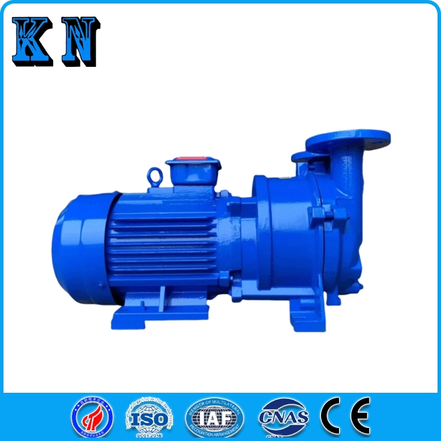 2BV Water Ring Vacuum Pump Industrial Corrosion-Resistant Small Vacuum Pump