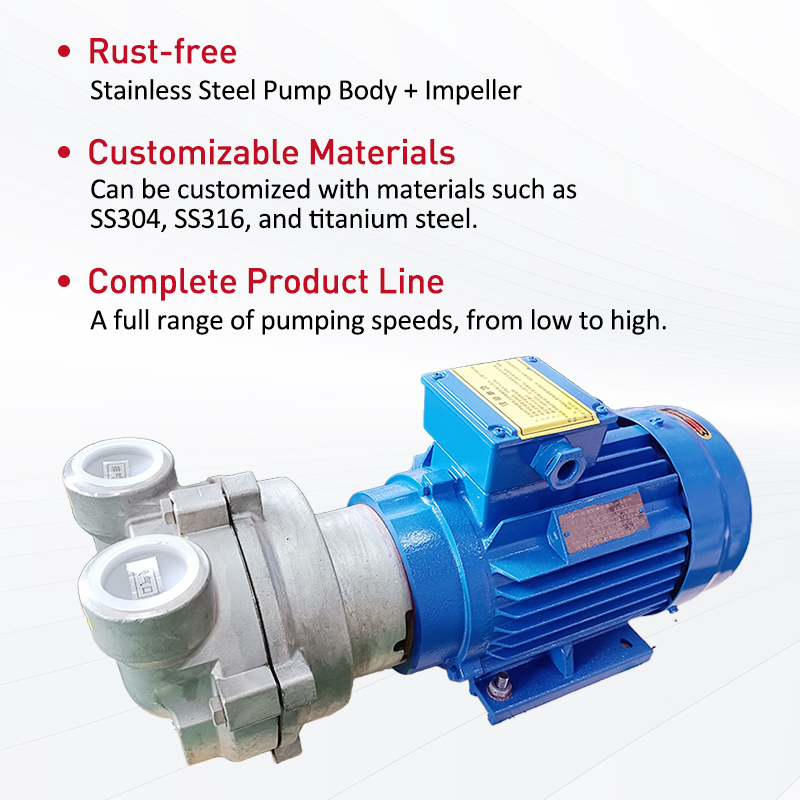 Wordfik Model 2BV2070 Ss Pump Head Single-Stage Water Ring Vacuum Pump for Vacuum Filtration Freeze Dryer Liquid Ring Pumps