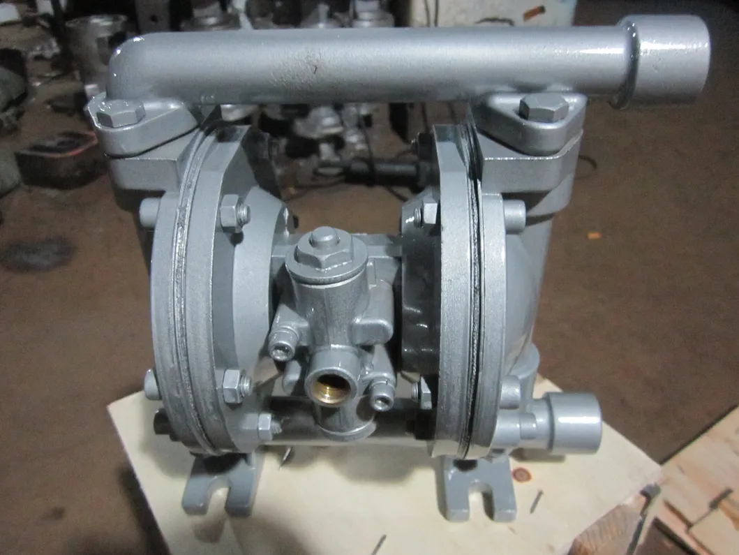 Pneumatic Diaphragm Pump Details