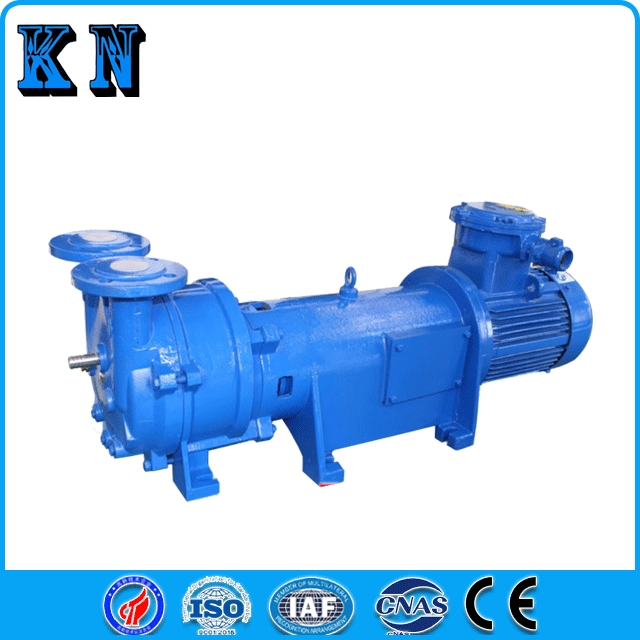 2BV Water Ring Vacuum Pump Industrial Corrosion-Resistant Small Vacuum Pump