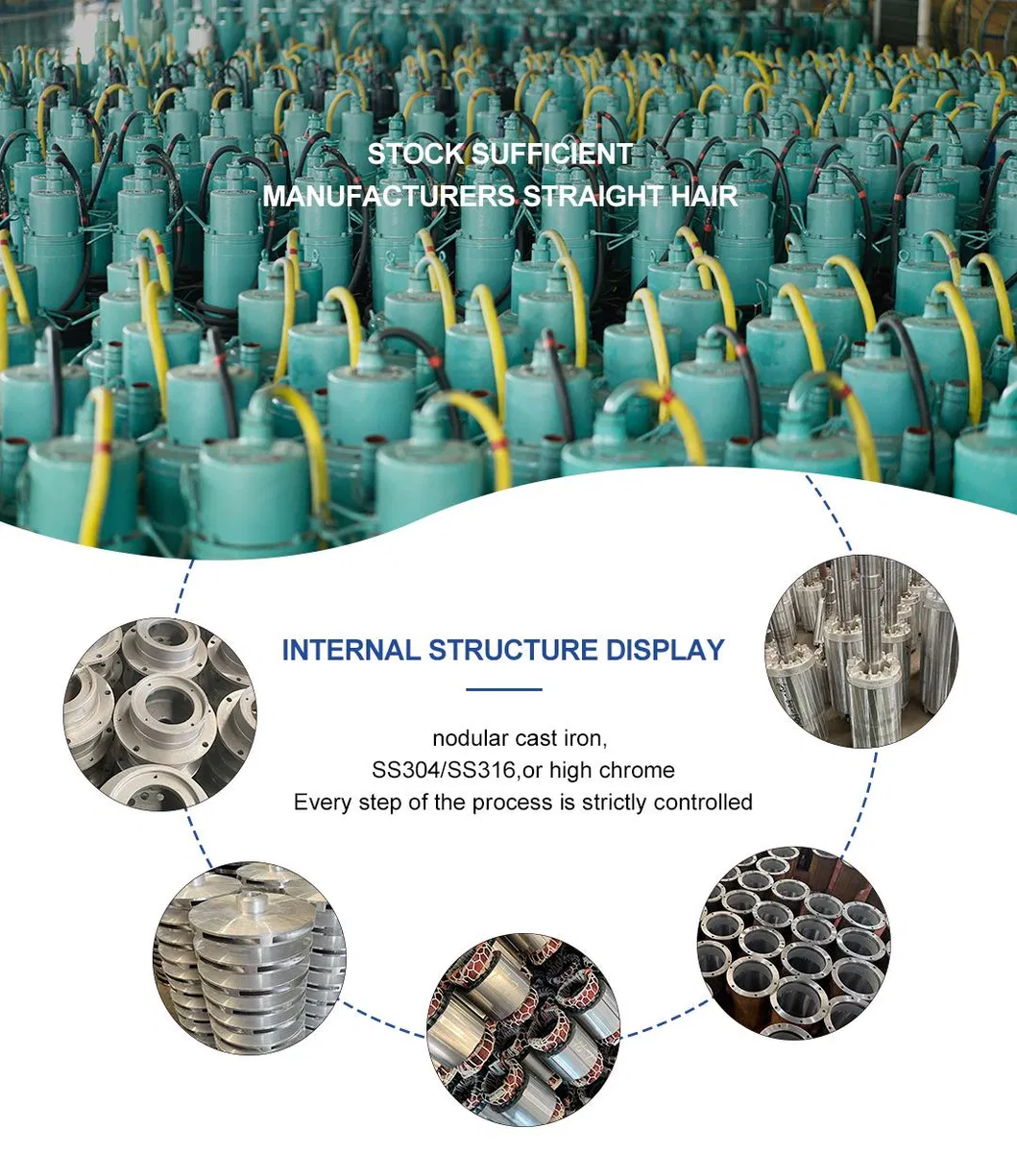 Submersible Sewage Pump View 6