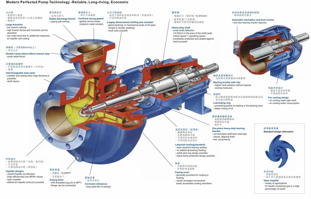Pump Structure Diagram