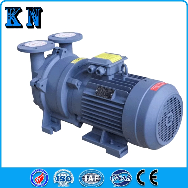 2BV5110 Steel Water Ring Vacuum Pump for Paper Making Chemical Industry