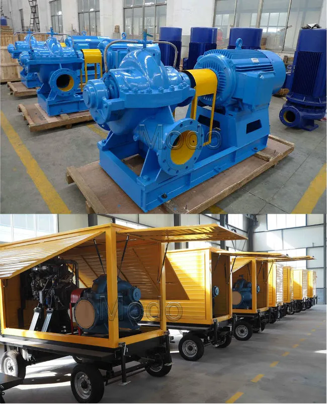 Double Suction Water Pump