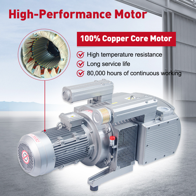 Wordfik Factory Customization Vd250 Oil-Free Series Dry Rotary Vane Vacuum Pump for Woodworking Machine CNC Router