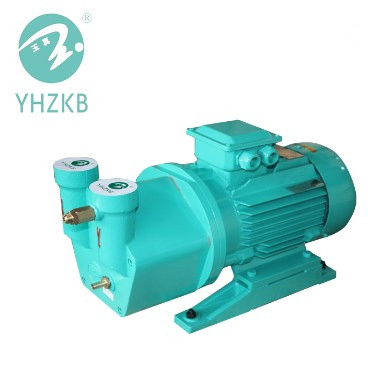 4kw Liquid/Water Ring Vacuum Pump for Vacuum Drying