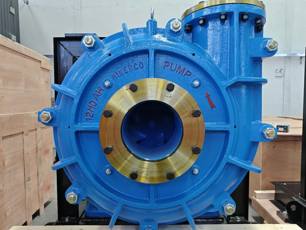 Slurry Pump View 2