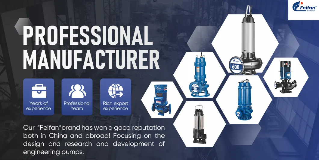 GNWQ Series Pump Overview