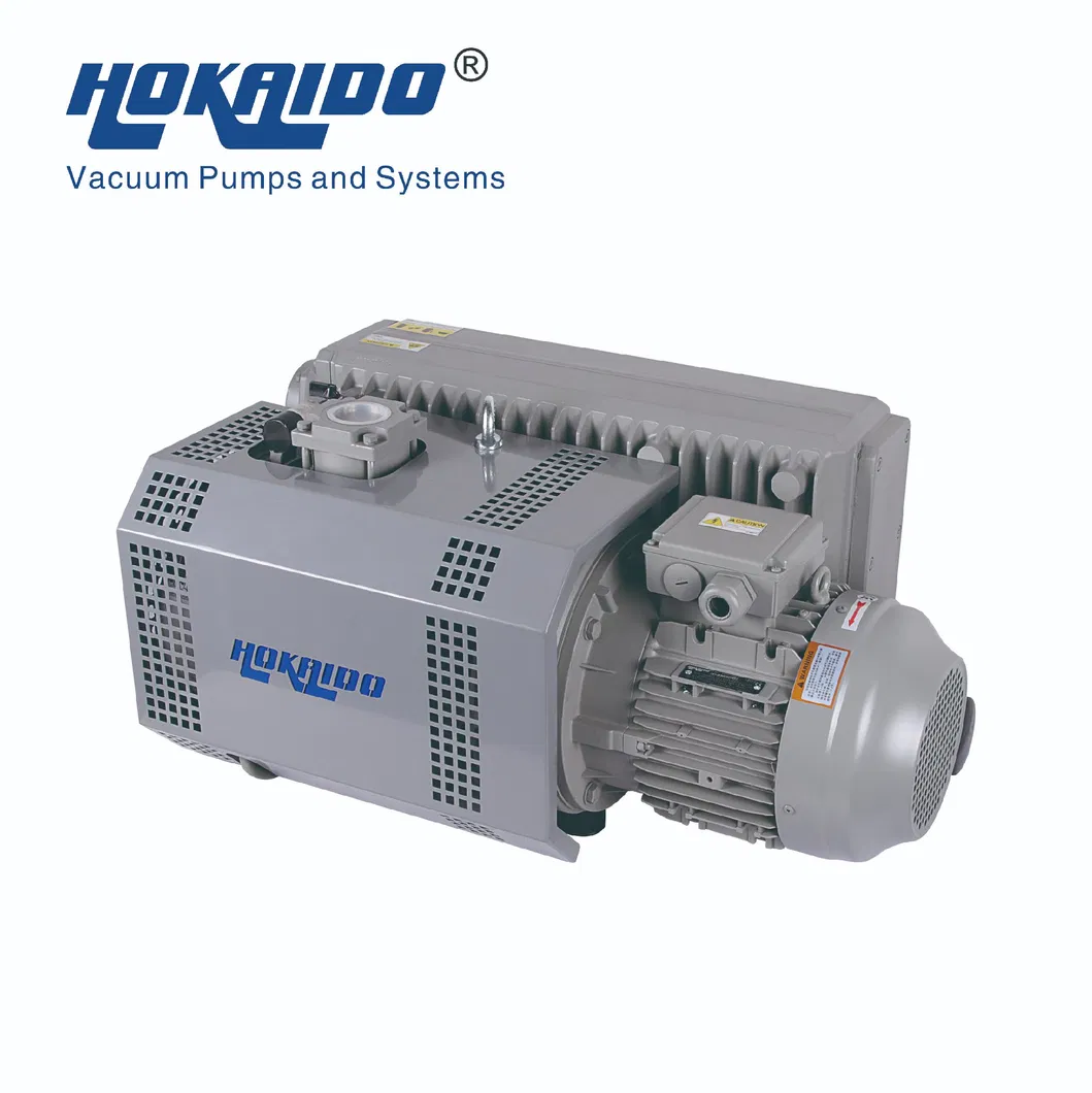 Rotary Vane Vacuum Pump Detail 3