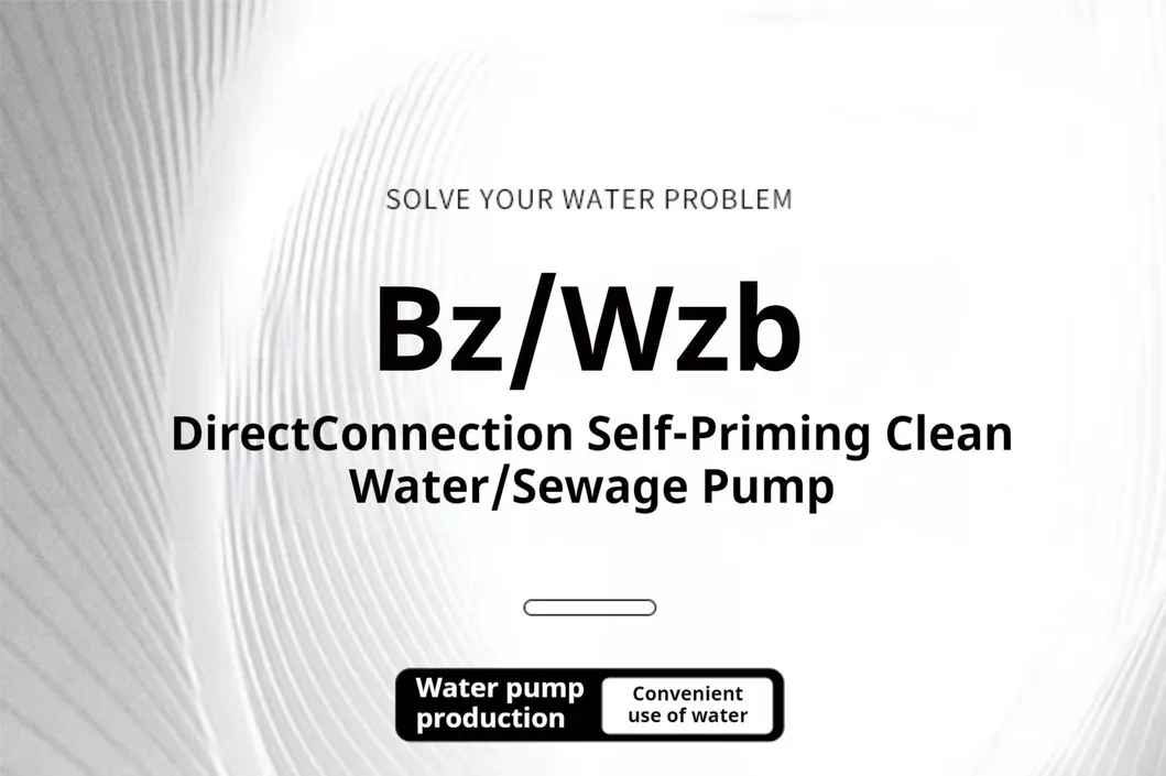 Submersible Slurry Pump Detail