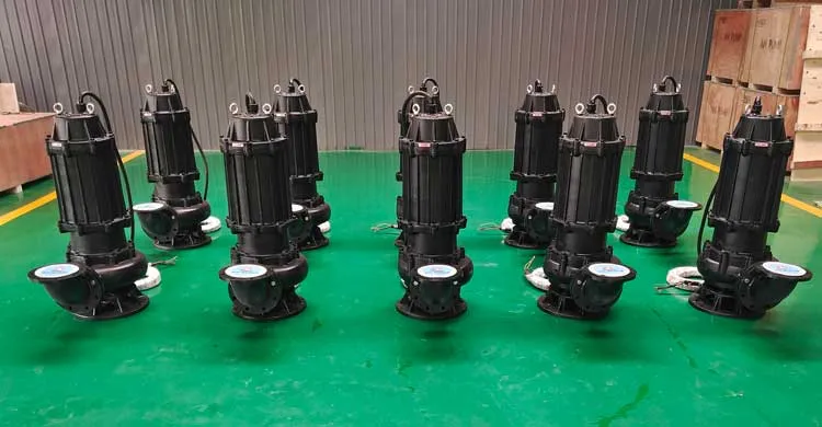 Standard Sewage Transfer Pump