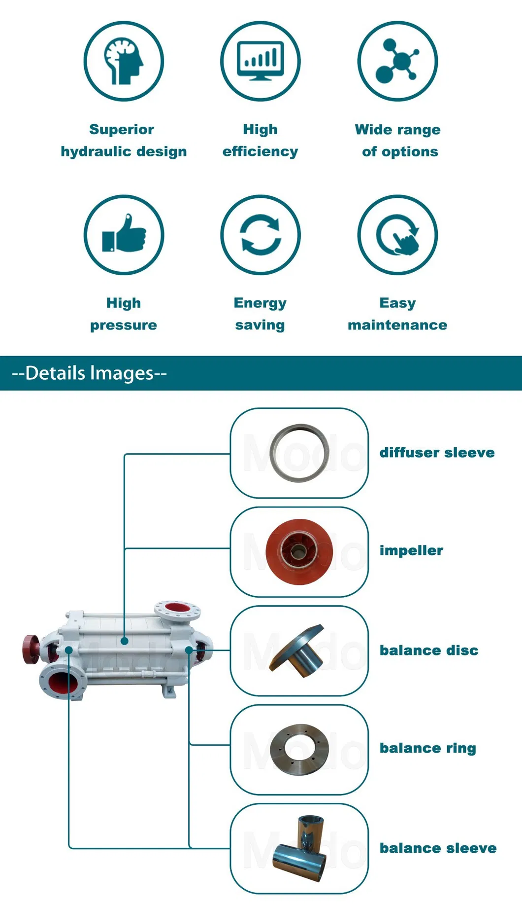 Pump Technical Diagram