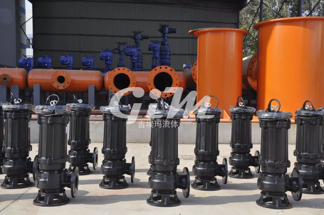 Sewage Pump Detailed Photo 1