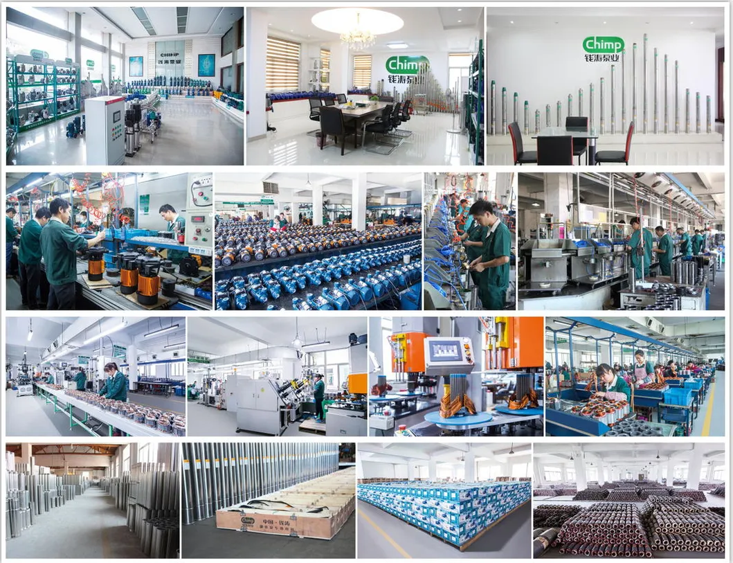 Pump Internal Structure