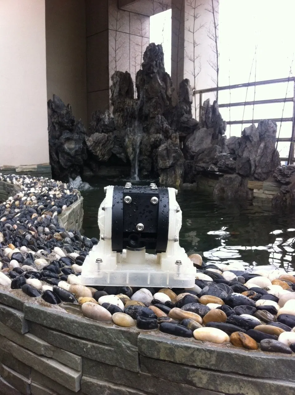 Pneumatic Diaphragm Pump Detail