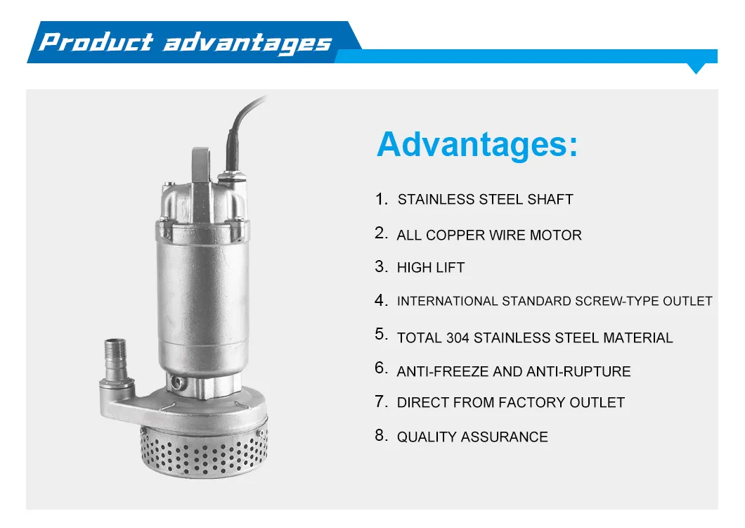 Submersible Chemical Pump 1