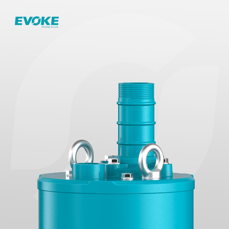 Qxn Submersible Water Pump Factory China Vertical Pump Suppliers Evoke