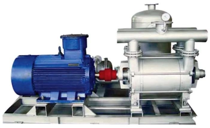 Water Ring Vacuum Pump Detail