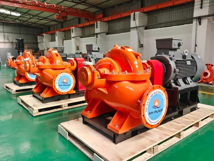 Double Suction Pump