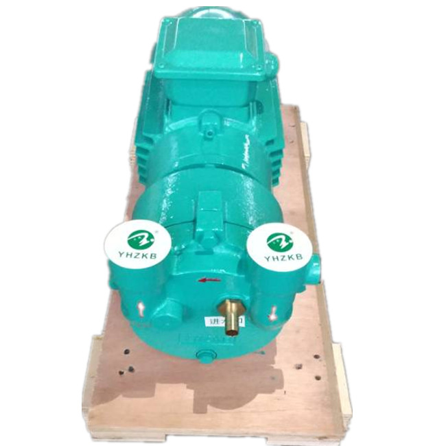 Yhzkb Sk-0.3A Liquid/Water Ring Vacuum Pump for Plastic Extrusion Line