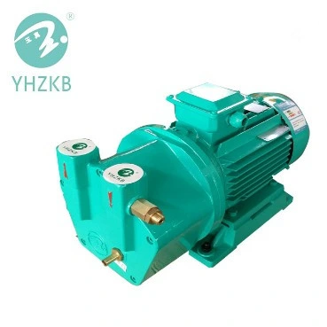 4kw Liquid/Water Ring Vacuum Pump for Vacuum Drying