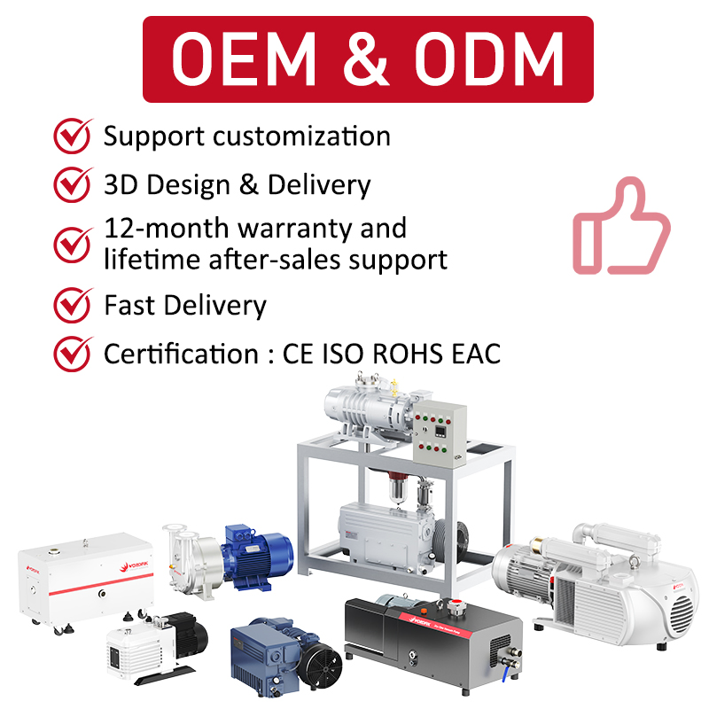 Wordfik Model 2BV2070 Ss Pump Head Single-Stage Water Ring Vacuum Pump for Vacuum Filtration Freeze Dryer Liquid Ring Pumps