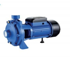 2tgpm25/130 Corrosion-Resistant Surface Pump for Industrial Land Fluid Transfer