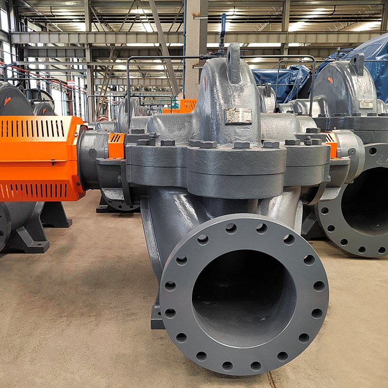 Leo Industrial Electric High Pressure Horizontal Single Stage Double Suction Centrifugal Water Pump for Farmland Irrigation