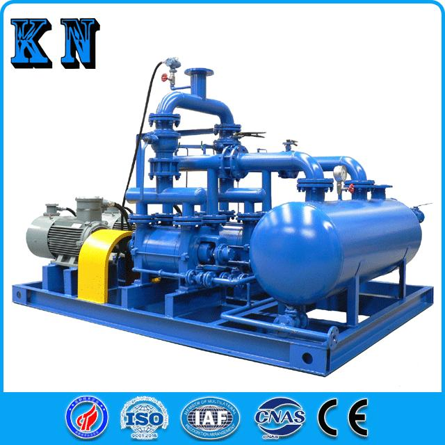 2be Series Water Ring Vacuum Pumps for The Chemical Industry