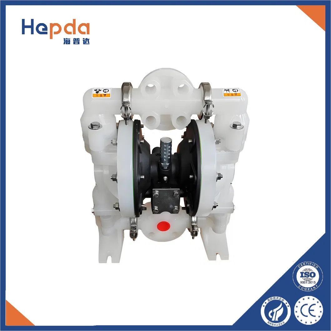 Pneumatic Diaphragm Pump View 2