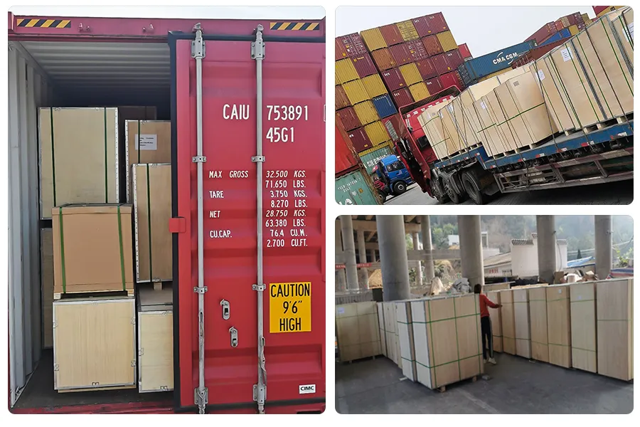 Diaphragm Vacuum Pump Display 2