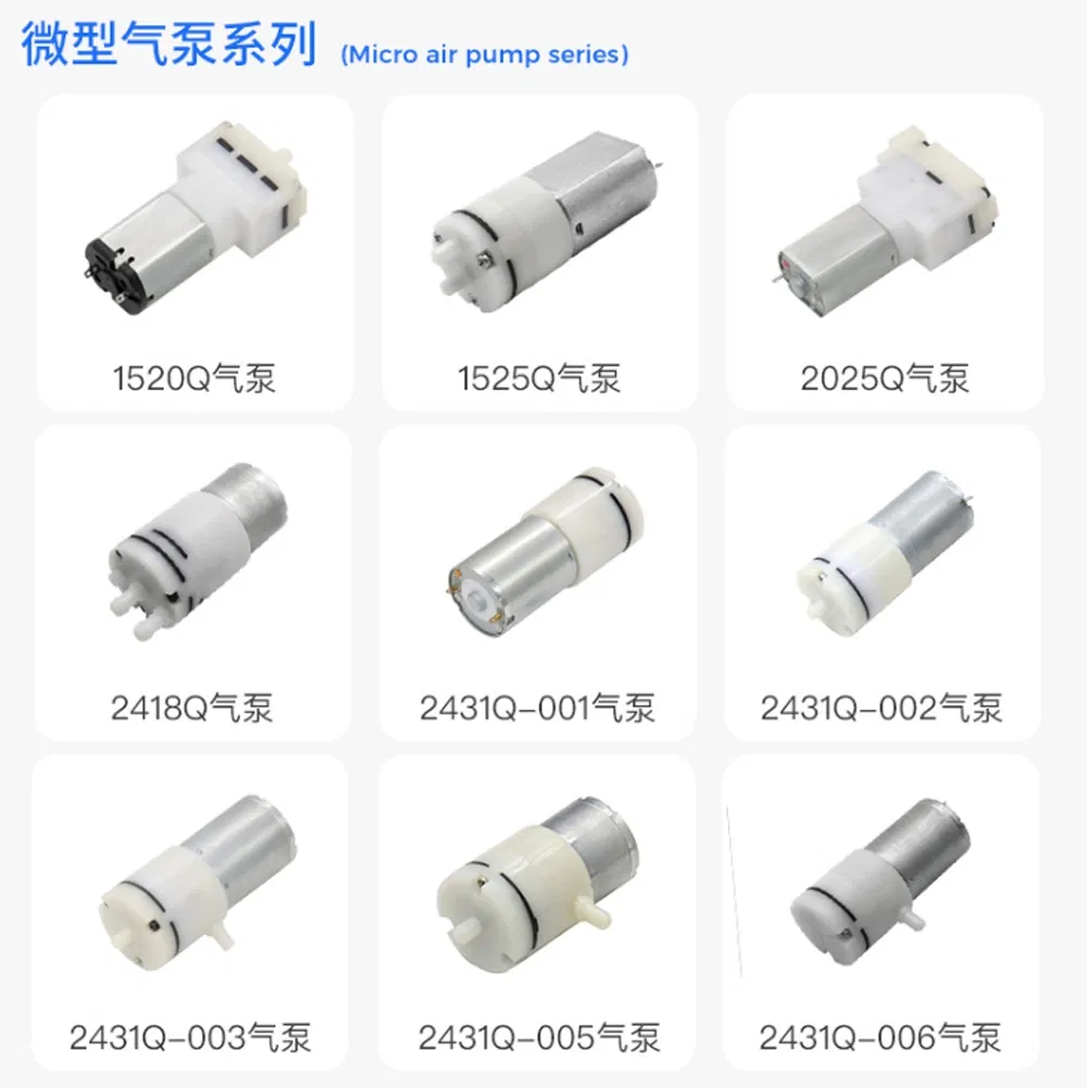 Related Micro Motor 2