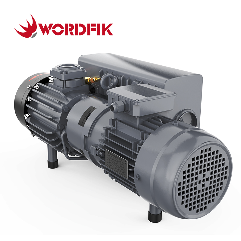 User-Friendly Oil-Sealed Rotary Vane Vacuum Pump for Packaging Machine Use