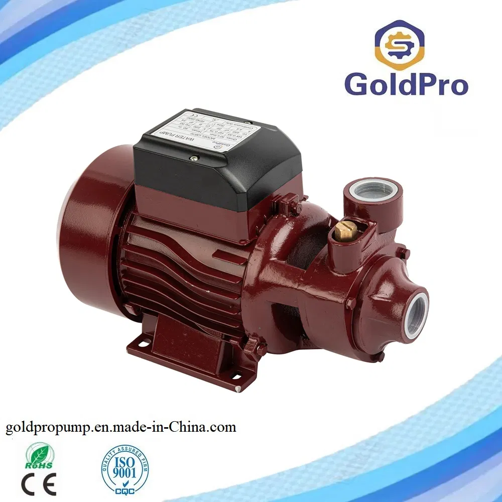 Qb60 Idb45 Cast Iron Body Brass Impeller Self-Priming Centrifugal Peripheral Jet Water Pump