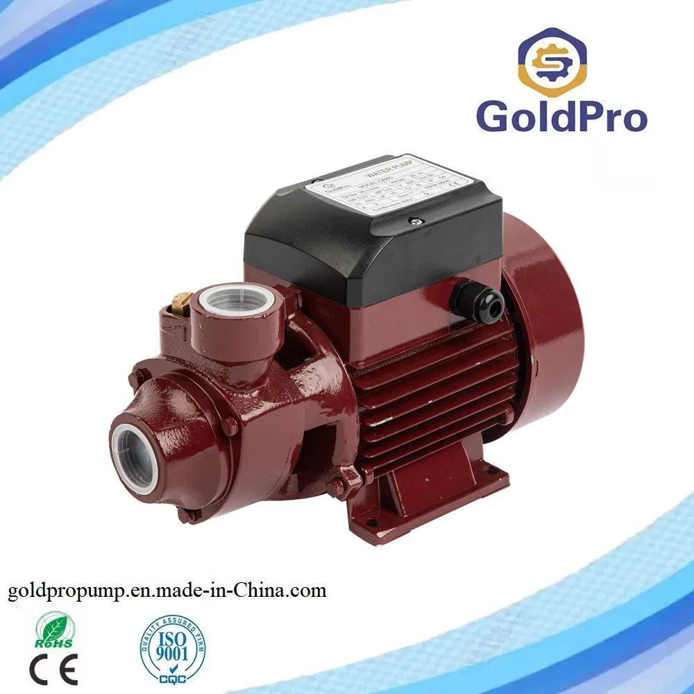 Qb60 Idb45 Cast Iron Body Brass Impeller Self-Priming Centrifugal Peripheral Jet Water Pump