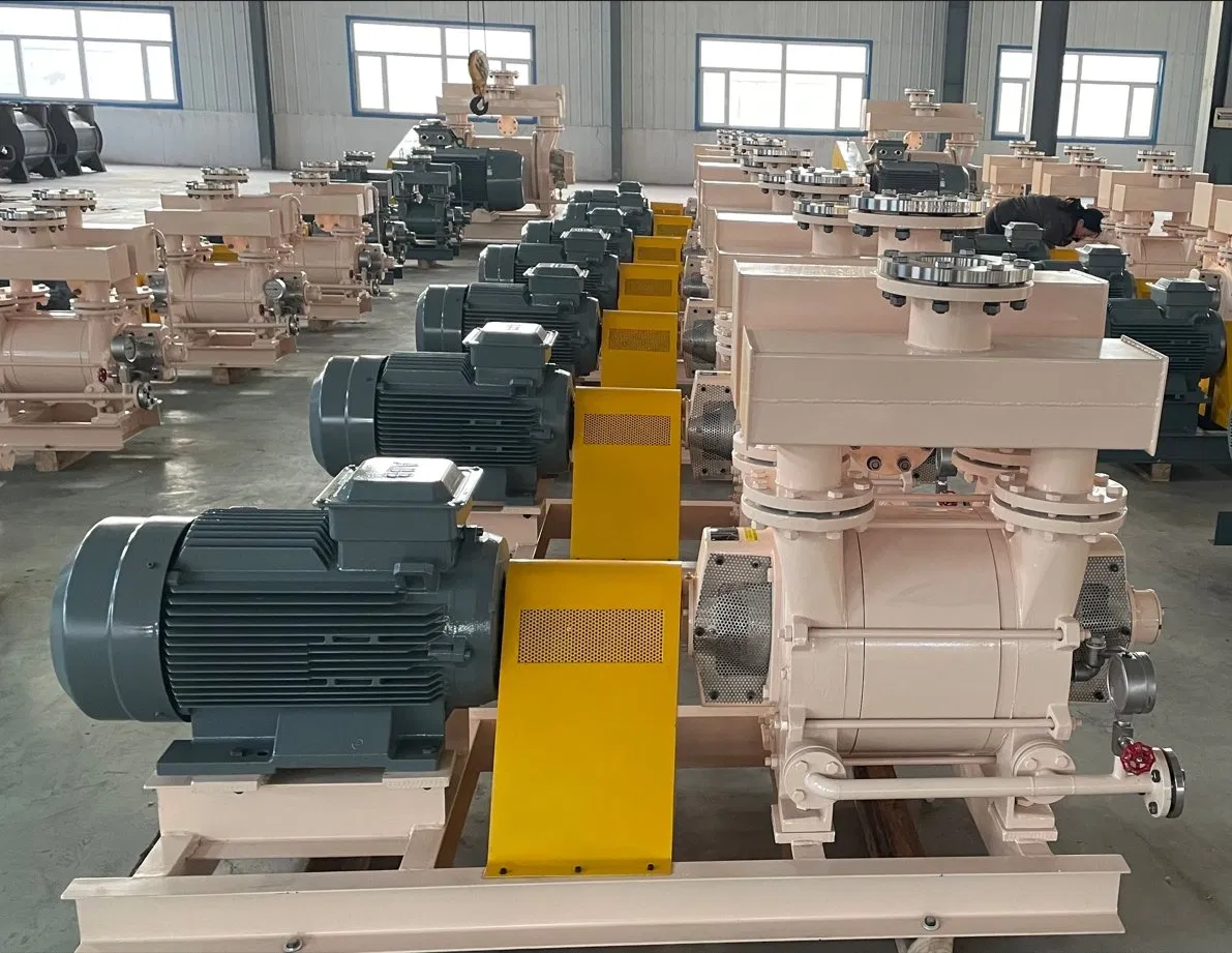 Water Ring Vacuum Pump Chemical, Chemical Fertilizer, Paper, Pharmaceutical Industry