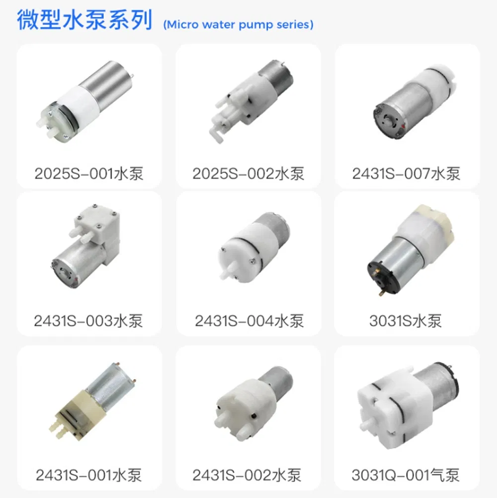 Related Micro Motor 1