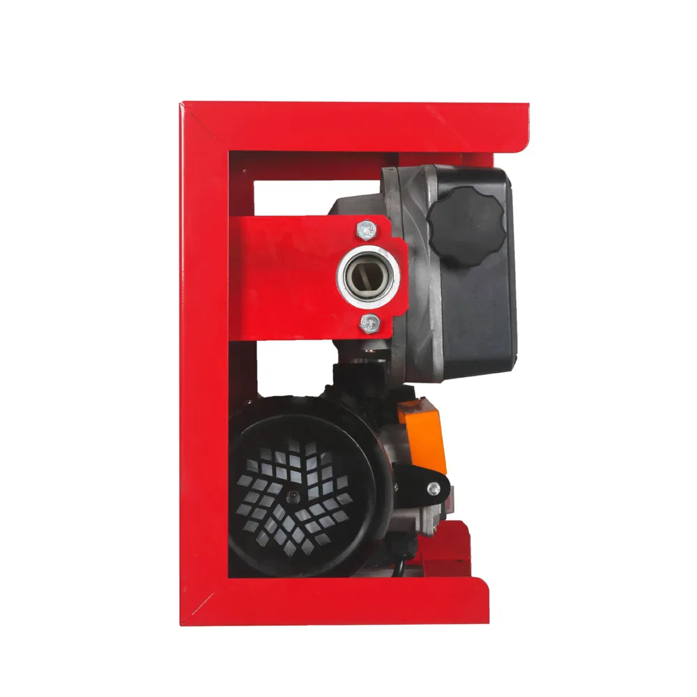 12V 220V Diesel AC Combined Refueling Pump Gasoline Pump Kerosene Mechanical Fuel Gauge Diesel Oil Transfer Pump with Flow Meter