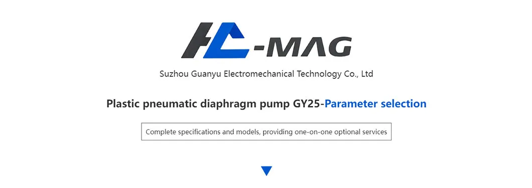 Pneumatic Diaphragm Pump 1