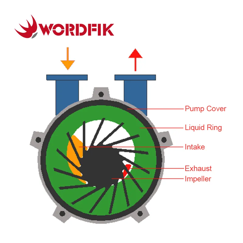 Liquid Ring Vacuum Pump Side View